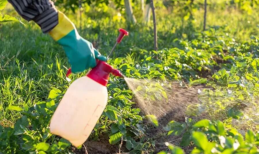 riskli-gidalari-tespit-eden-yeni-ai-platformu2