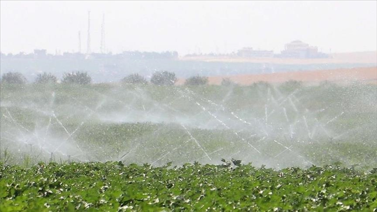 Tarım Ve Orman Bakanlığı: Su Verimliliği Seferberliği 2 Yaşında Haberi