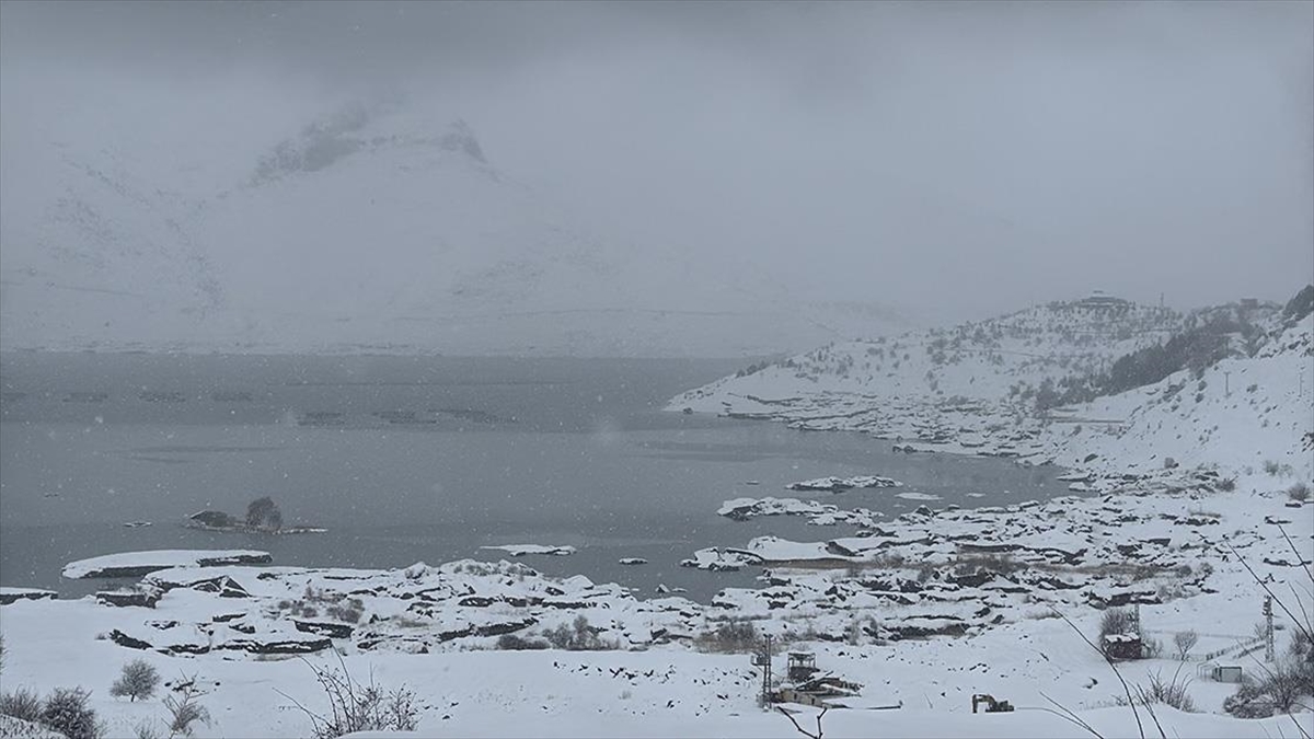 Çat Barajı’ndaki “Yüzen Adalar” Dondu Haberi