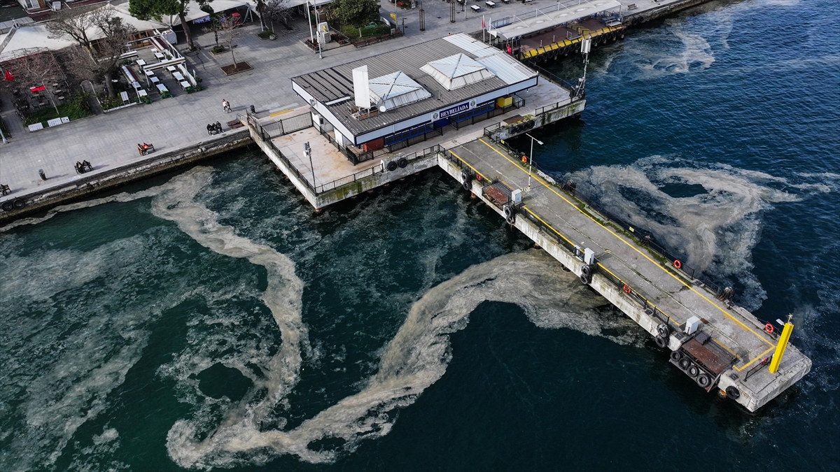 Marmara Denizi’nin Adalar Bölgesinde Müsilaj Görülmeye Devam Ediyor Haberi