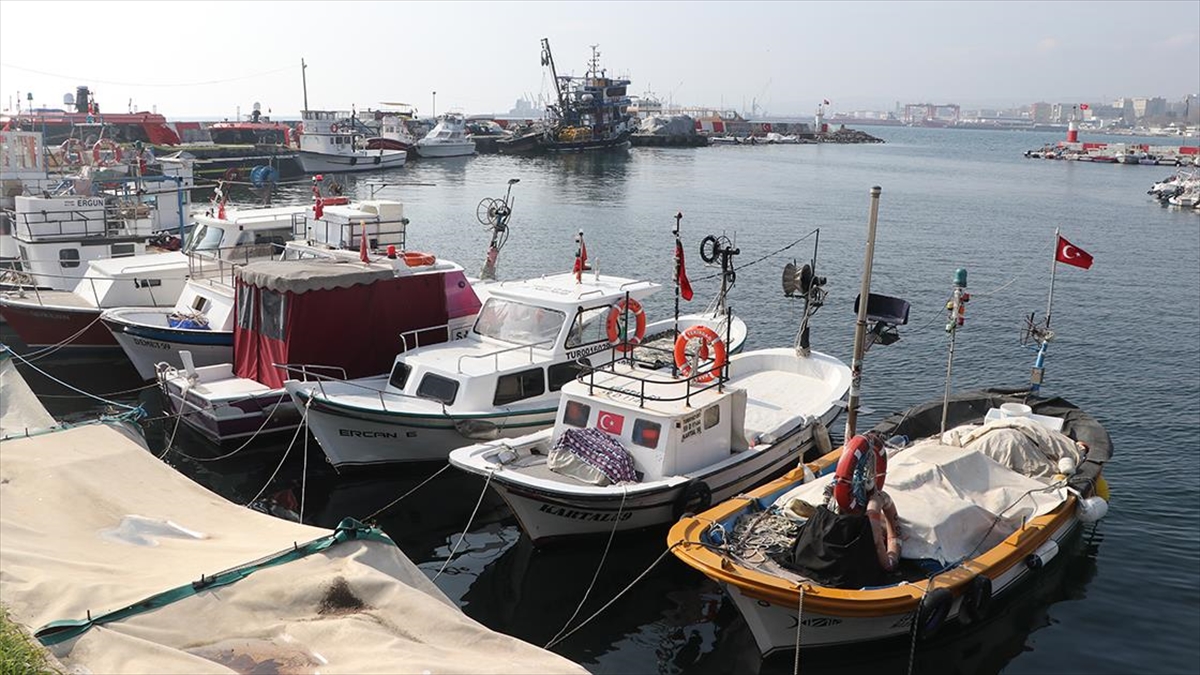 Tekirdağlı Balıkçılar Istavrit Ve Hamsi Umuduyla Denize Açıldı Haberi