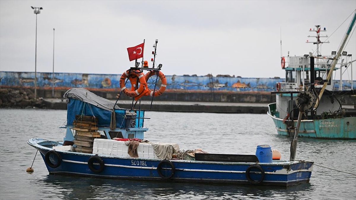 Batı Karadeniz’de Kıyı Balıkçıları, Sezonun Geri Kalanından Umutlu Haberi