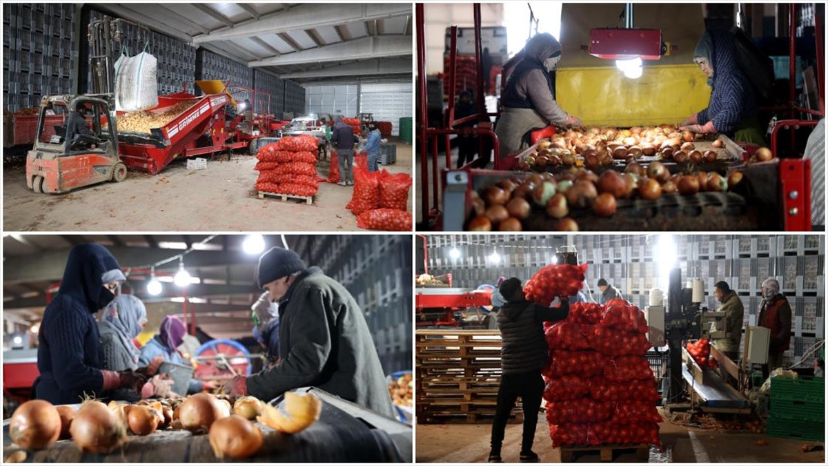 Devlet Desteğiyle Kurduğu Paketleme Tesisinde 30 Kişiyi Istihdam Ediyor Haberi