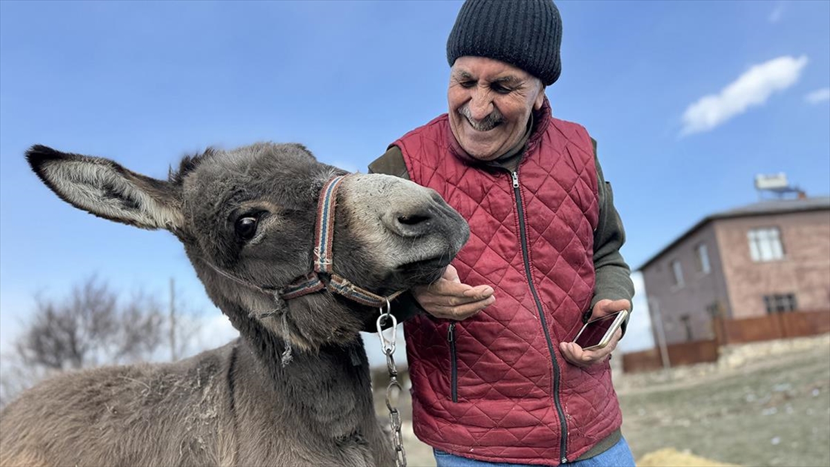 Kırsala Terk Edilen Eşeğe 21 Yıldır Bakan Hayvansevere Destek Yağdı Haberi