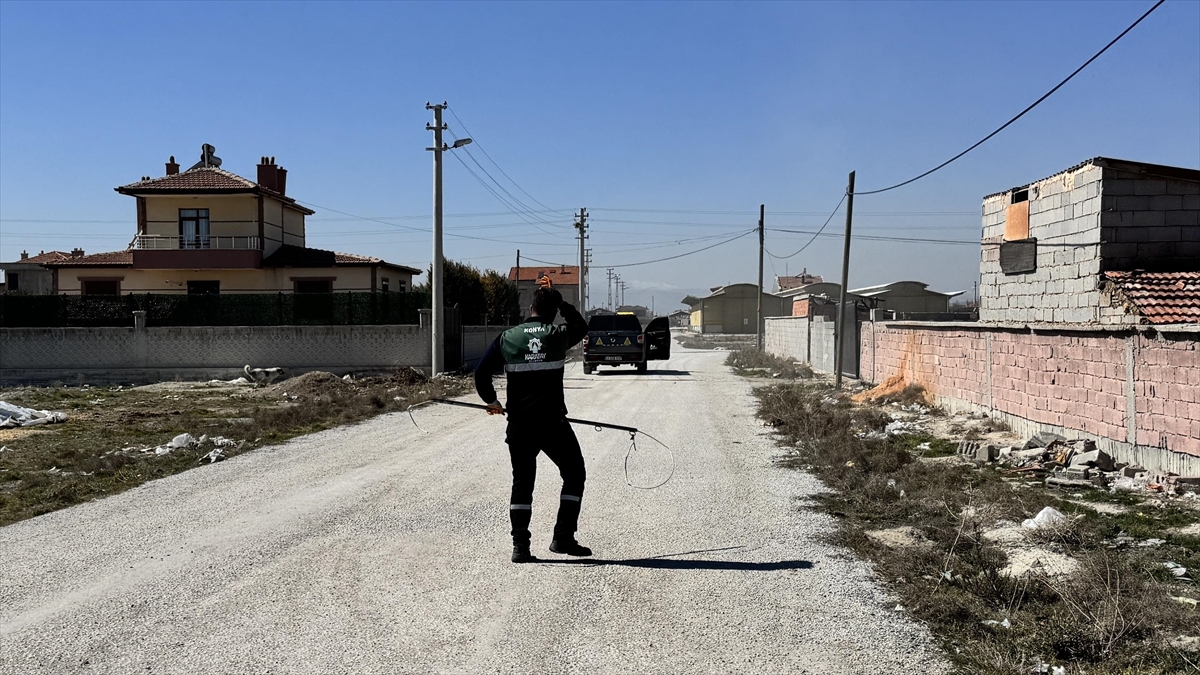 Konya’da Köpeklerin Saldırdığı Bebeğin Ölümüne Ilişkin Soruşturma Başlatıldı Haberi