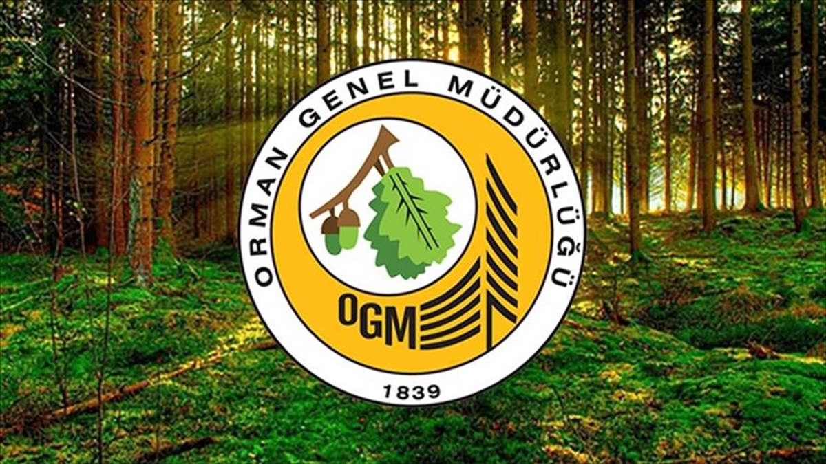 Orman Genel Müdürlüğü 252 Daimi Işçi Istihdam Edecek Haberi