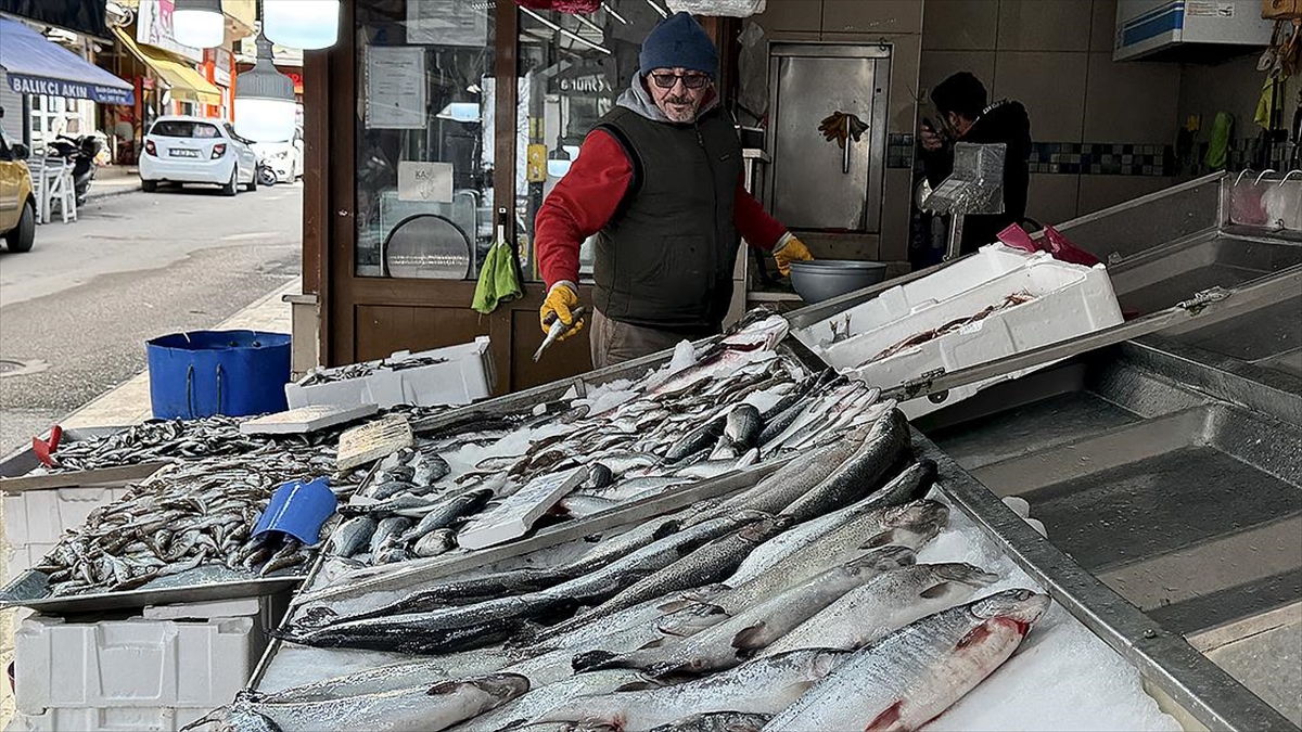 Ramazanda Balık Satışları Azaldı Fiyatlar Düştü Haberi