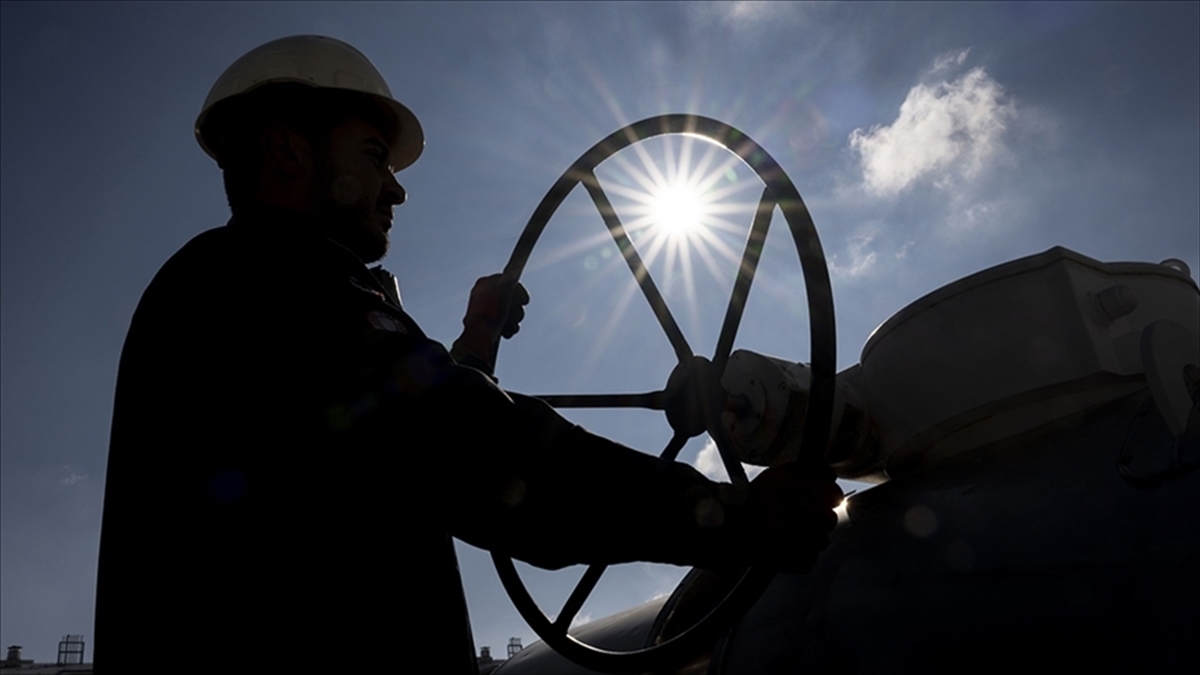 Şebekeye Doğal Gaz Girişinde Şubatta Tüm Zamanların Rekoru Kırıldı Haberi