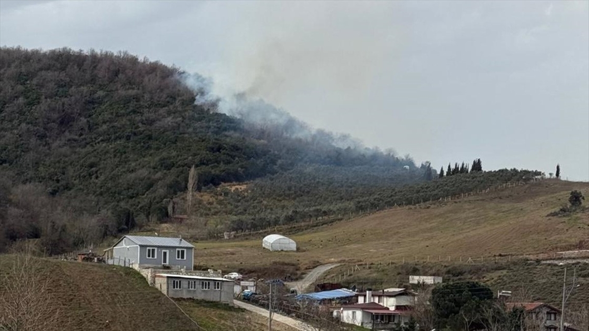 Yalova’da Ormanlık Alanda Çıkan Yangına Müdahale Ediliyor Haberi