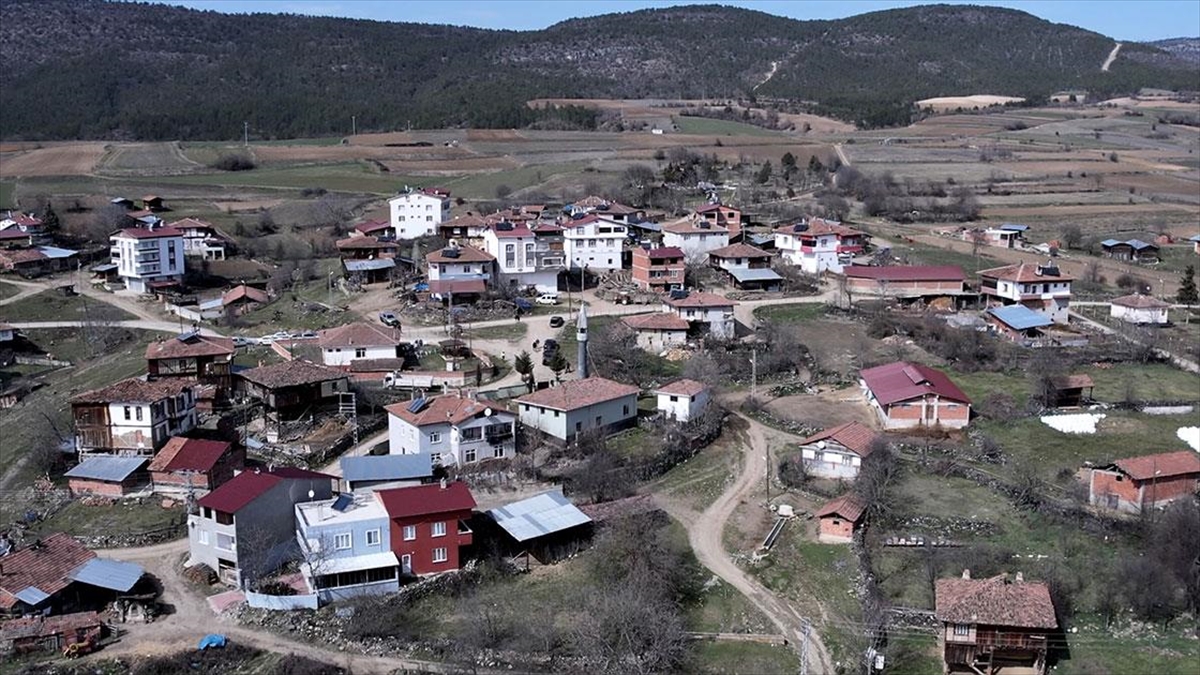 Yüzde 68’I Ormanlardan Oluşan Sinop’ta Orköy Orman Köylülerine Can Suyu Oluyor Haberi