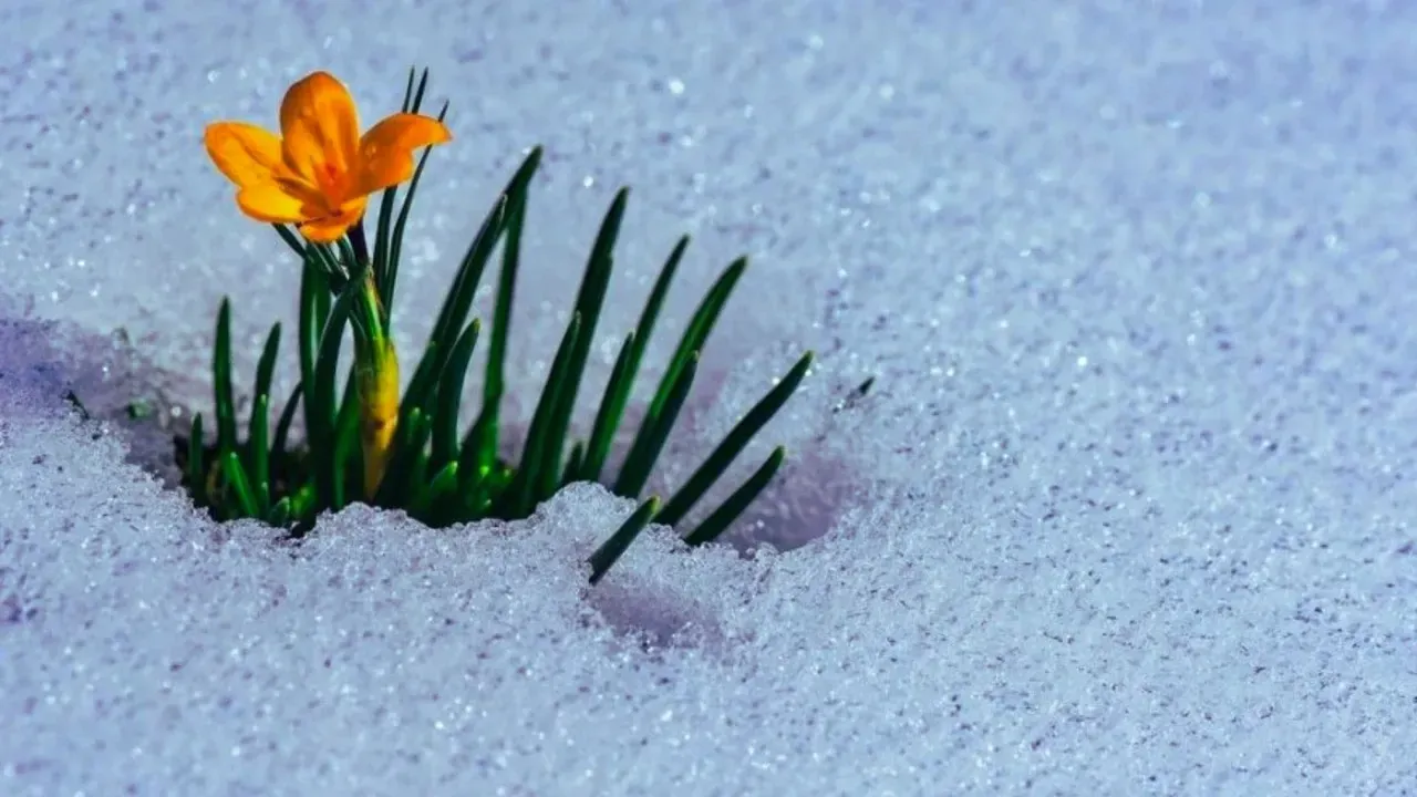 Cemre Düşmesi: Baharın Habericisi İlk Cemre Bugün Düştü